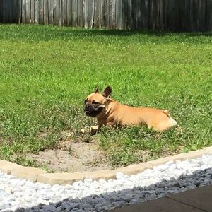 Meet your Posher, Ashley